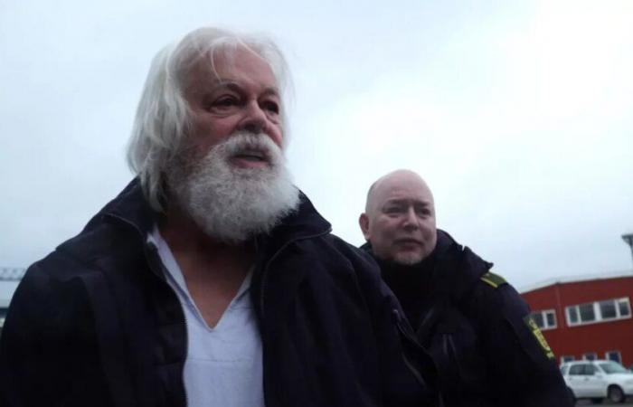 Sea Shepherd-Gründer Paul Watson beantragt politisches Asyl in Frankreich