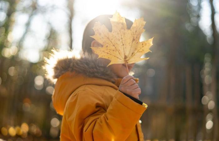 Feiertage zu Allerheiligen: Fünf Instagram-Konten, denen Sie folgen können, um kreative und inspirierende Ideen zu finden, um Kinder zu beschäftigen