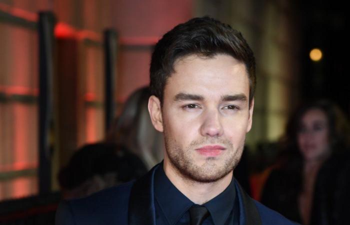 Liam Paynes Kampf mit Drogen und Alkohol: Was er sagte