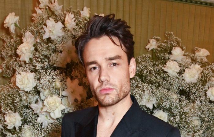 Liam Paynes Kampf mit Drogen und Alkohol: Was er sagte