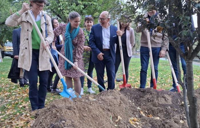 „Die Rückkehr der Natur in die Stadt“, die großen Sanierungsarbeiten von Les Pratges werden bis 2026 eingeleitet