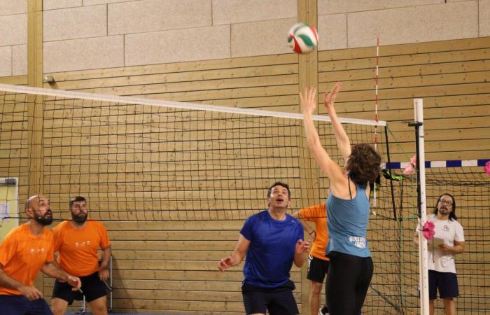 VOLLEYBALL: Framatome liegt vor Alstom, Safranc und Industeel zur Eröffnung der Intercompany Challenge