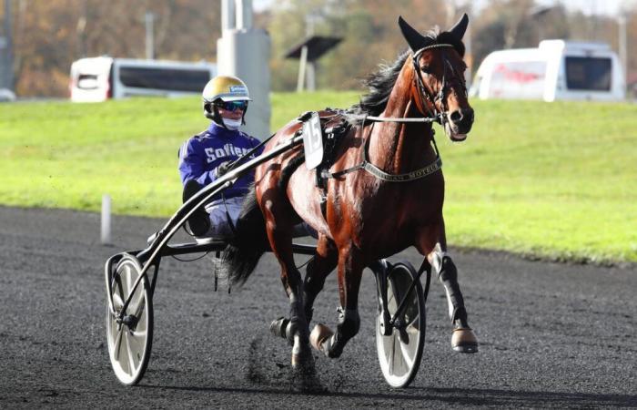 San Engine auf dem Weg zum Prix de Bretagne