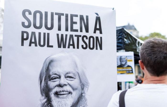 Der Umweltaktivist Paul Watson beantragt politisches Asyl in Frankreich