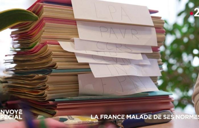 VIDEO. Frankreich hat seine Standards satt?