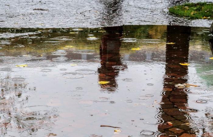 Wetterbericht. Wie ist das Wetter an diesem Donnerstag, 17. Oktober, in Alta France?