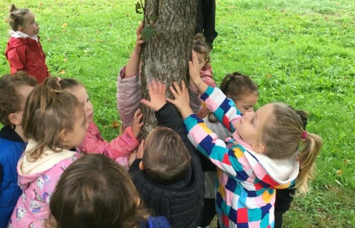 Dieser Lot-Kindergarten ist stilvoll mitten in der Natur