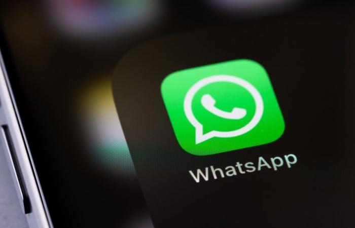 WhatsApp: Wenn Ihr Smartphone über einen OLED-Bildschirm verfügt, wird Ihnen dieses neue Thema gefallen