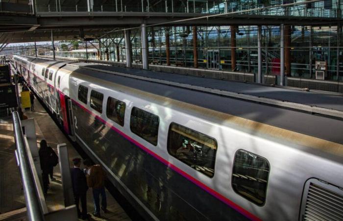 Warum hat die SNCF beschlossen, die TGV-Strecke Paris-Lyon mitten am Wochenende des 11. November aus Arbeitsgründen zu schließen? – Befreiung