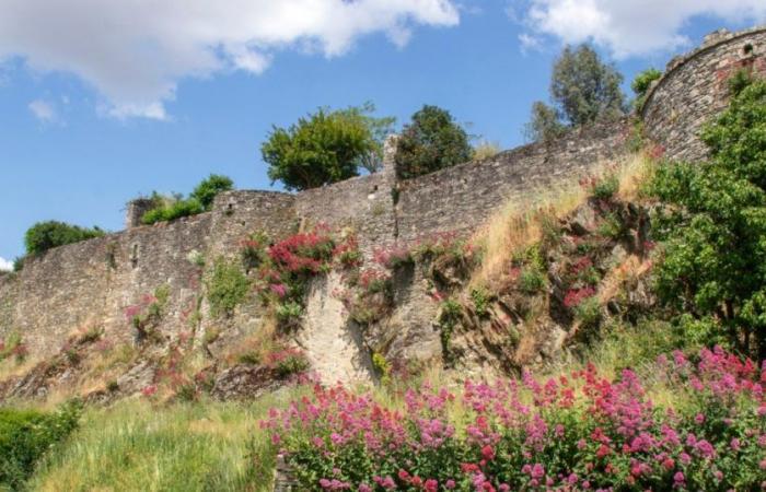 Dieses mittelalterliche Dorf ist das bestgehütete Geheimnis der Vendée und muss im Herbst unbedingt besucht werden