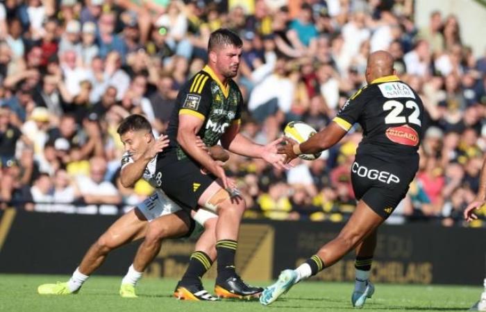 „Dritter in den Top 14 und wir reden fast von einer Krise, es ist perfekt, ich liebe es“ (La Rochelle)