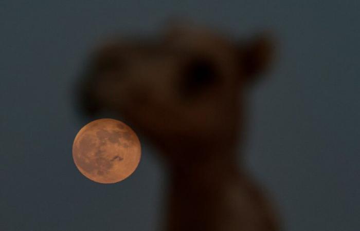 Die schönsten Bilder des Supermonds aus aller Welt