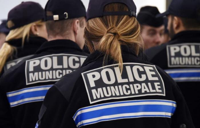 Auf dem Weg zu neuen Fähigkeiten für die Stadtpolizei in Paris?