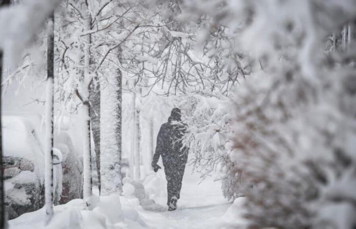 „Wir sollten mit einem viel wärmeren Winter als im letzten Jahr rechnen“, sagt ein Meteorologe