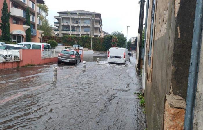 Schlechtes Wetter, Regen, umstürzende Bäume und Stromkabel – Lot-et-Garonne nahm Wasser auf