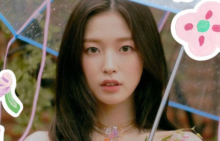 Arin (OH MY GIRL) gewinnt einen Rechtsstreit gegen eine Videospielfirma und eine Werbefirma, die sich weigerte, sie zu bezahlen – K-GEN