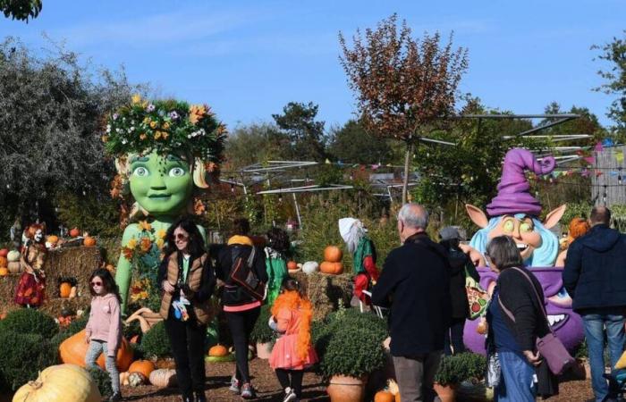 Zirkus, Kürbisgewächse, Mondial du Lion … Unsere Ideen für Wochenendausflüge in Maine-et-Loire