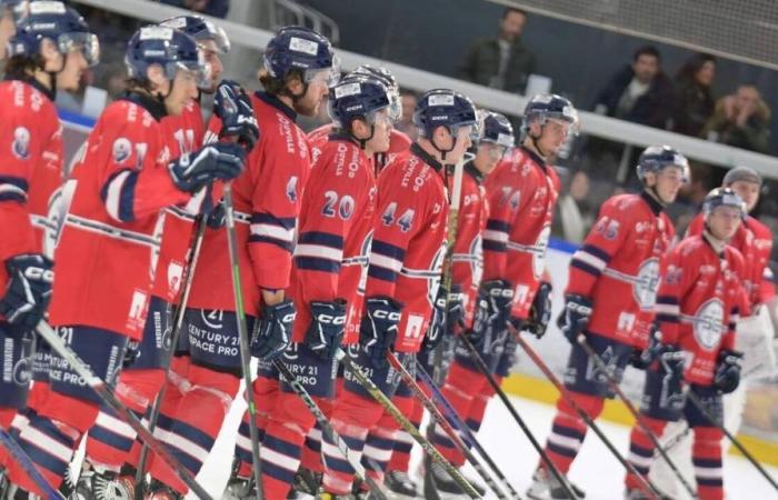 Calvados. Caen BC und die Drakkars zu Hause, Judo, BMX … Das Sportprogramm für das Wochenende