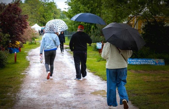 Wie ist das Wetter in der Marne an diesem ersten Wochenende der Allerheiligenferien?