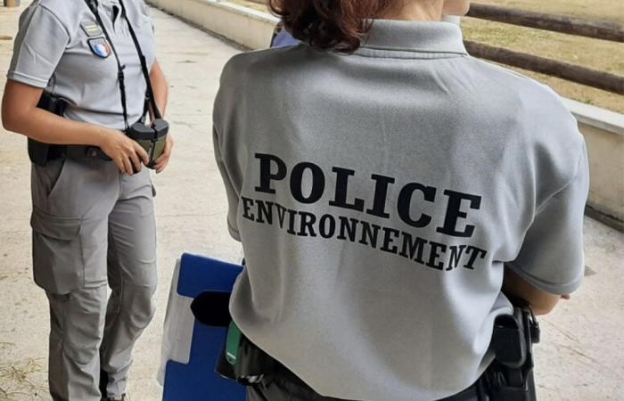 Landes. Verschmutzung eines Wasserlaufs in Cazères-sur-l’Adour, Ursachen ermittelt