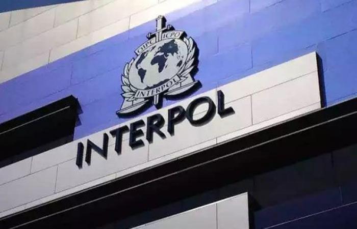 Von Interpol koordinierter Anti-Terror-Einsatz in 14 Ländern, darunter Marokko, 66 Personen festgenommen – Heute Marokko