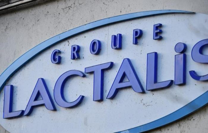 Lactalis: Eine Molkerei in der Loire-Atlantique bietet die Rückgewinnung der von Züchtern produzierten Milch an