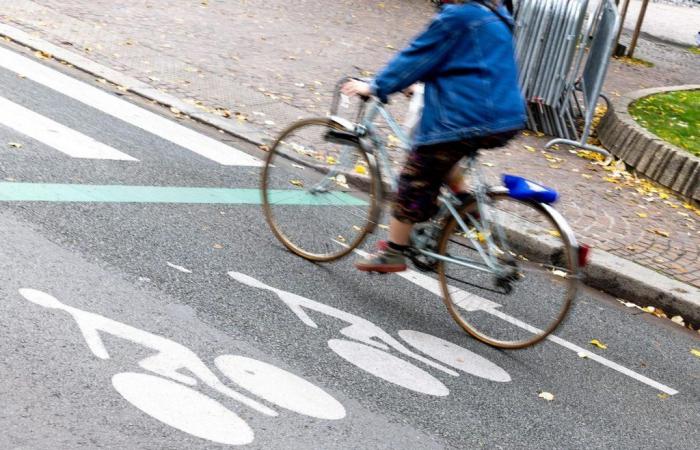 Der Autofahrer wurde in Untersuchungshaft genommen