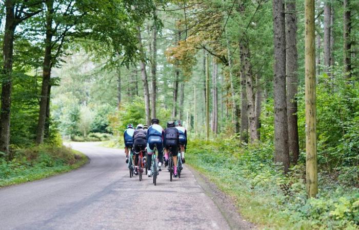 Vélo d’Or 2024: die Zeremonie, die die besten Radfahrer belohnt, die nach Paris zurückkehren