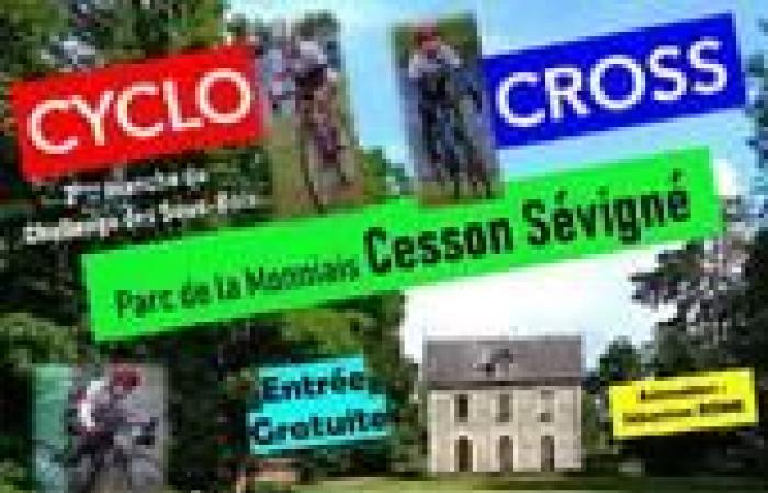 St. Florent le Vieil 19. Oktober 2024 Cyclocross-Teilnehmer