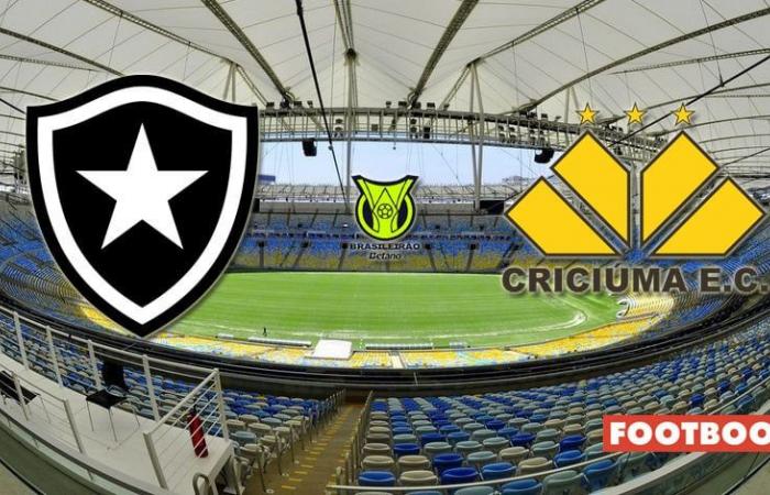 Botafogo gegen Criciúma: Spielvorschau und Vorhersage