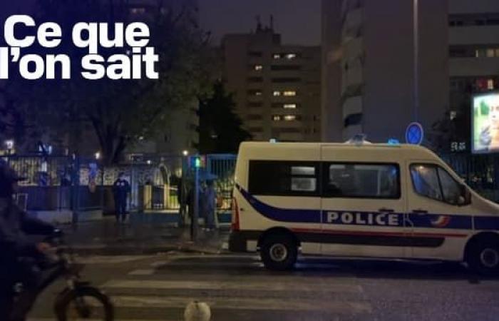 Was wir über den Tod eines Mannes wissen, der im 19. Arrondissement durch einen umstürzenden Baum getötet wurde