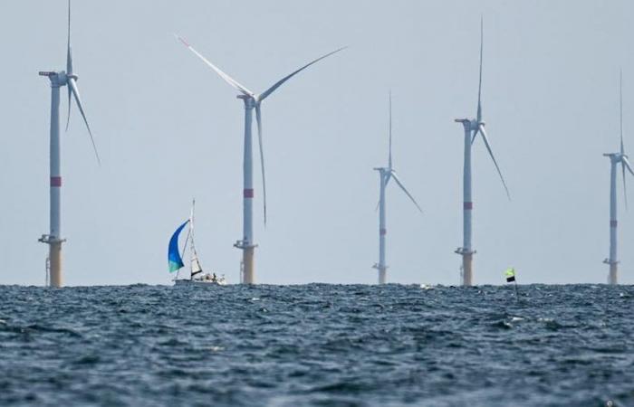 Vor der Küste von Charente-Maritime werden im Jahr 2050 fünf Offshore-Parks erwartet