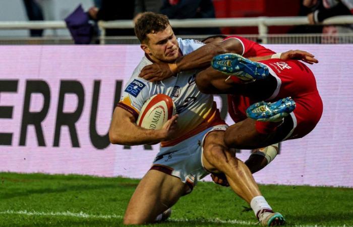 Rugby (Pro D2): Die SA XV wird in Colomiers wirklich sehen, ob die Reisen den Ursprung bilden