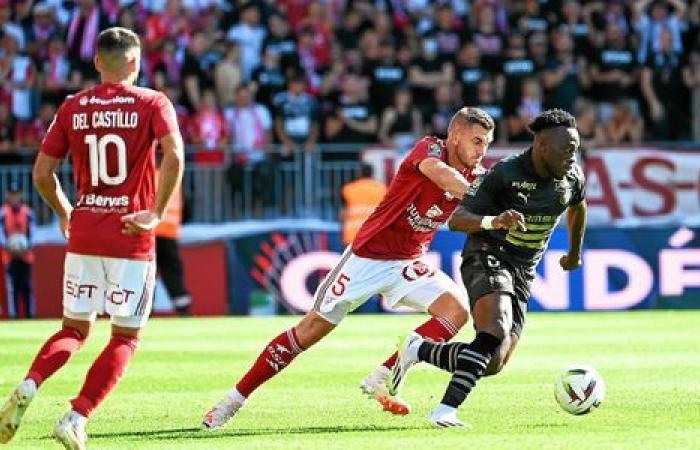 Brest – Rennes: zwischen Stade Brestois und Stade Rennais, eine Rivalität, die jetzt getrennt ist