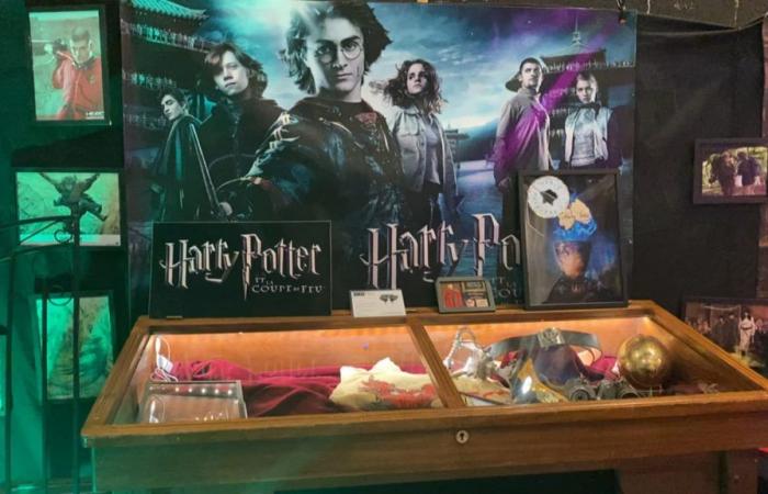 In Marignane öffnet eine Harry-Potter-Ausstellung ihre Pforten