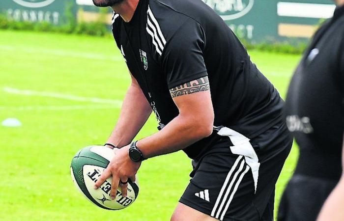 Rugby (Pro D2). „Wir sind immer auf der Suche nach unserem Referenzspiel“, bemerkt US-Montauban-Trainer André Hough.