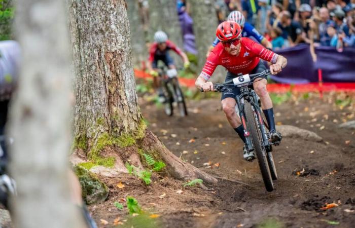 Die Flückiger-Affäre müsse zu einer Reform der Dopingbekämpfung führen, fordert Swiss Cycling