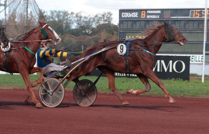 Géode du Cherisay dominiert die Favoriten