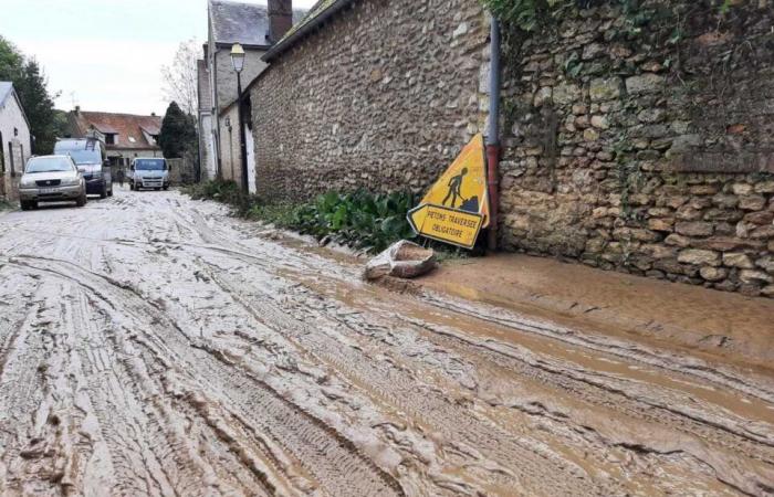 Das Chevreuse-Tal und der Süden von Yvelines stehen unter Wasser, die Bewohner sind in völliger Verwirrung