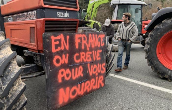 Landwirte dringen gewaltsam in den Gemeinderat Burgund-Franche-Comté ein