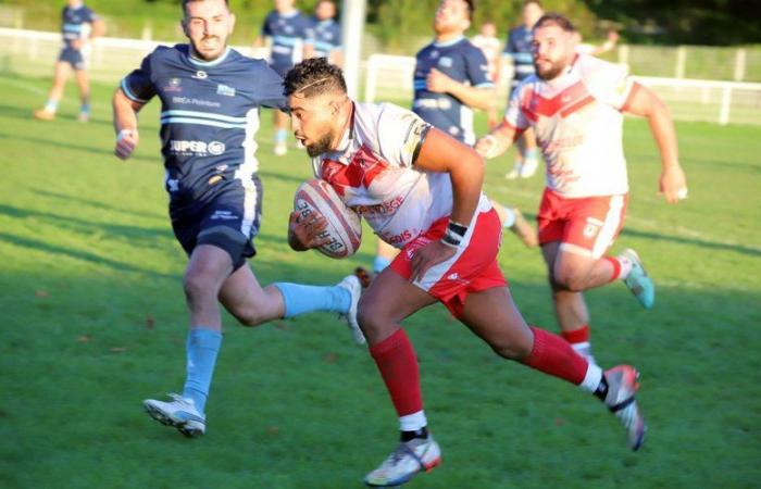 Amateur-Rugby-Union (Coupé de France). Die Wölfe von Pamiers schieden mit erhobenem Haupt aus