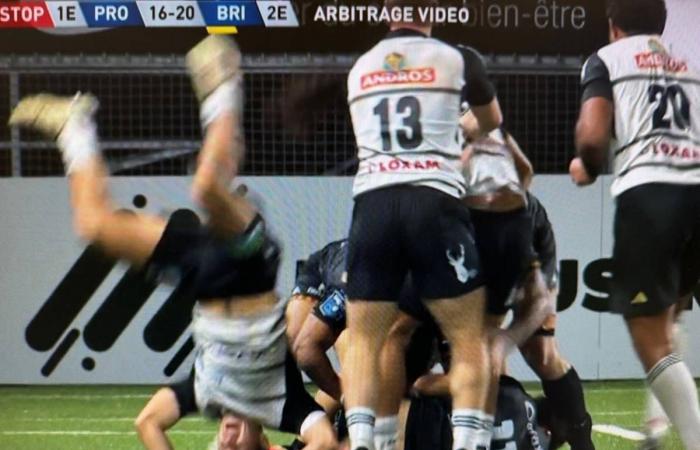 Pro D2: Hat CA Brive gegen Provence Rugby wirklich schlecht geleitet?