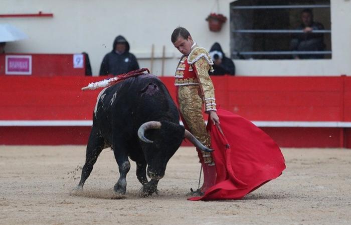 ABENDFAKT Ein Toro für einen Kindheitstraum