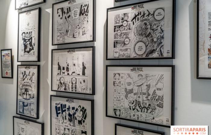 One Piece Pop-up Shop: Der riesige immersive Store mit Café und Ausstellung wird in Paris eröffnet