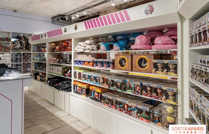 One Piece Pop-up Shop: Der riesige immersive Store mit Café und Ausstellung wird in Paris eröffnet