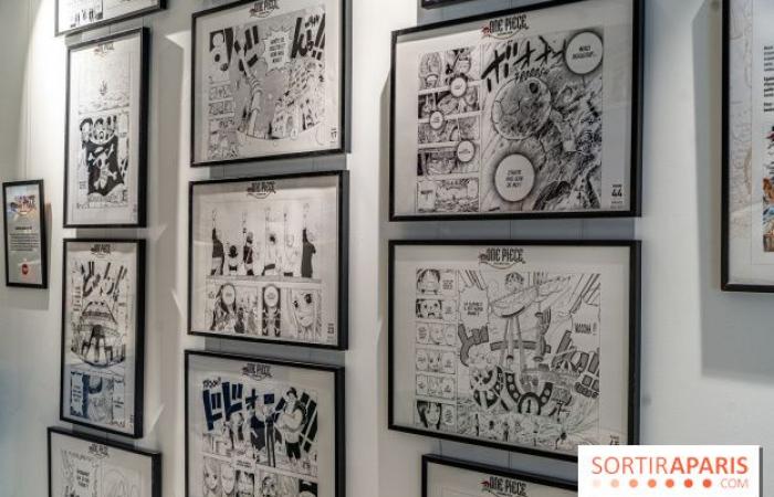 One Piece Pop-up Shop: Der riesige immersive Store mit Café und Ausstellung wird in Paris eröffnet