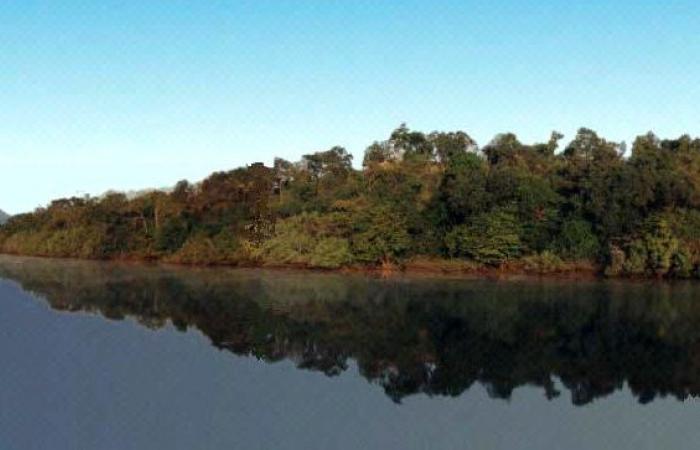 Überschwemmungen – Nach dem Senegal-Fluss: Der Gambia-Fluss schüttet seinen Überlauf in Tamba – Lequotidien aus