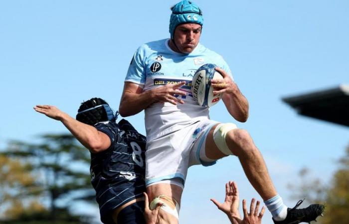 Bayonne bietet sich vier Punkte an und bereut gegen Racing 92