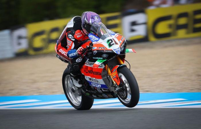 WSBK Superbike Jerez J1: Michael, Nicolo, Toprak, sie sagten …