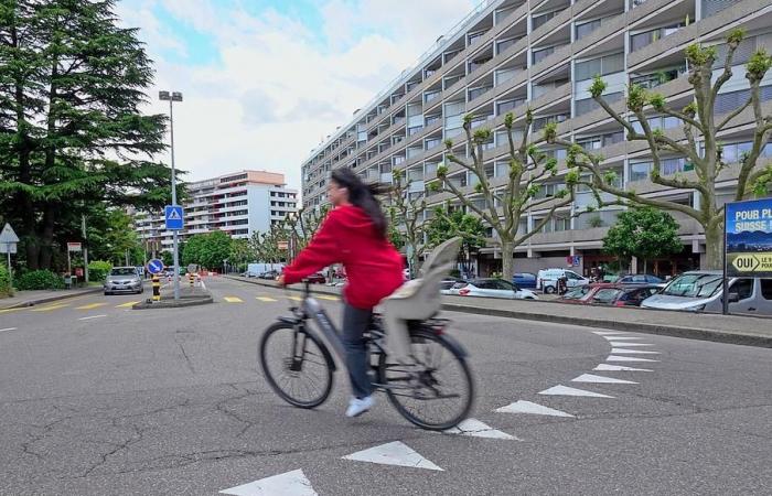 Brief des Tages: Plädoyer für das Fahrrad